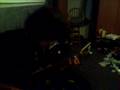 videos de 