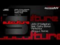 John O’Callaghan ft. Cathy Burton – Perfection (Shogun Remix) Lyrics