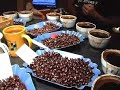 How to do a Coffee Cupping, Chapter 4