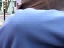 paaara el jopo en en el parque de la costa
