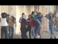 Pro-Gaza demonstrators clash with troops