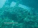 King Cruiser Wreck,  Thailand