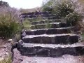 video3.mov Video