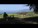 Plaskett(Big Sur),CA. Plaskett Creek Camp. Plaskett(Big Sur),CA. Plaskett Creek Camp.