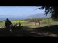 Plaskett(Big Sur),CA. Plaskett Creek Camp.
