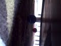 VID00002