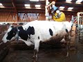 ferme laitières dans les ardennes