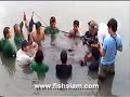 Giant freshwater stingray birth Ban Pakong. Giant freshwater stingray birth Ban Pakong.