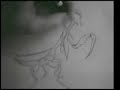 Time Lapse Drawing - Praying Mantis Time Lapse Drawing - Praying Mantis