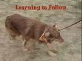 TAFFY Socialization Progress !! Clip 2