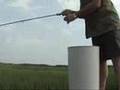Fly fishing for tailing Reds in Morehead City, NC