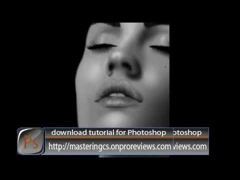 Tutorial for Photoshop and Illustrator Tutorial for Photoshop and Illustrator