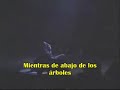 pantera planet caravan live subtitulado
