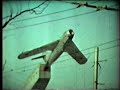 Брянск 80-х