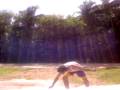 videos de butterfly stationary NEW