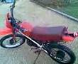 my honda MT-5 ! ready to be restord !
