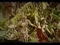 Bobby Bloom - Montego Bay