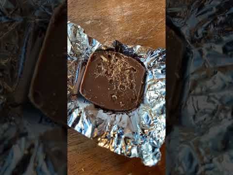 Dove Chocolate - Dove dark chocolate bag 7.61 oz. has worm in each wrapped piece.
