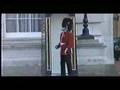 Buckingham Palace Plonker