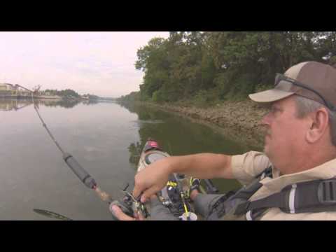how to dye fishing line