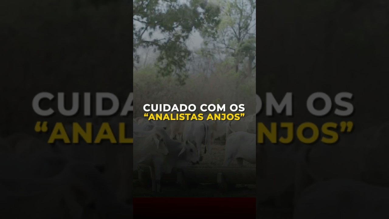 CUIDADO COM OS “ANALISTAS ANJOS”