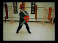 Wing Chun (TWC) BJD lesson 1