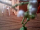 Stickfa Fight