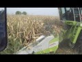 Kukorica Aratás 2011 Sióvölgye Kft Sióagárd Lexion 550