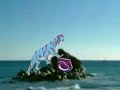 karadeniz kaplani karadeniz kaplani