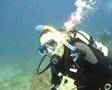 Diving the Carnatic, Red Sea