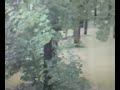hochwasser im telli quatier in aarau