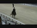Washington International HS Saddlebred Exhibition - 5-gaited