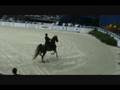 Washington International HS Saddlebred Exhibition - 5-gaited
