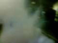 videos de fiamme al mugello 2007 parte 1