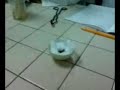 clase prof camilo, lab. quimica fenom. qumicos clase prof camilo, lab. quimica fenom. qumicos