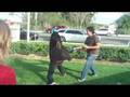 Tim and Robert Fight!