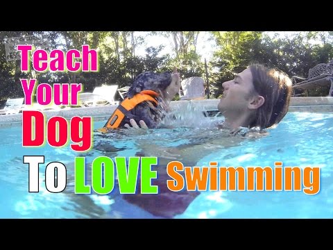 how to train swimming