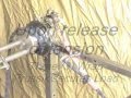 HFT Fire - Rope Rescue Winch
