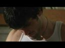 plight of flightless birds