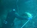 Grouper / Garoupa Grouper / Garoupa