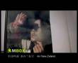 Zhao Wei's Directorial Debut MV:sample