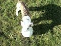 see how much titus has grown