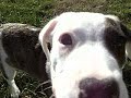 see how much titus has grown
