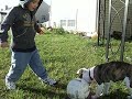 see how much titus has grown