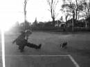 sk8 mjölk och bulle/ sameul blooper sk8 mjölk och bulle/ sameul blooper