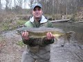Michigan Salmon