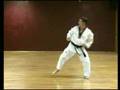TAEKWONDO 16 POOMSE