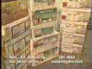 Horizen Hydroponics -2