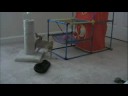 PLAY WITH ME!