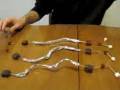 DNA1.mov